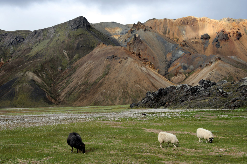 Island - Duhove hory 5